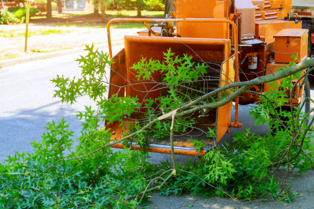 Lawn Watering Services in Primera, TX